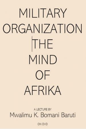 Military Organization:  The Mind of Afrika